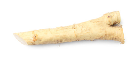 One fresh horseradish root isolated on white, top viewの写真素材