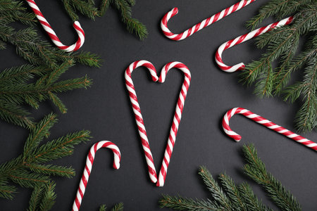 Many candy canes and fir tree branches on black background, flat lay. Christmas treatの写真素材