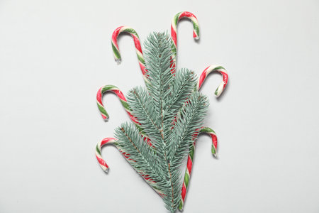 Christmas celebration. Candy canes and fir tree branch on white background, flat layの写真素材