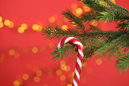 Candy cane on Christmas tree against red background with blurred lights, closeup. Space for text