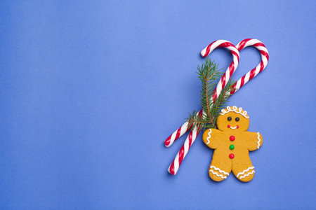 Tasty candy canes, Christmas tree branch and gingerbread cookie on blue background, flat lay. Space...