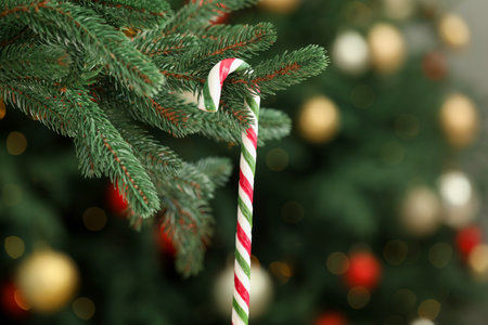 Candy cane on Christmas tree against blurred background, closeup with space for text. Bokeh effectの写真素材