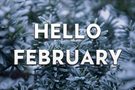 Plant covered with snowの写真素材