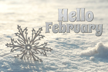 Hello February. Winter time card with decorative snowflake in snowの写真素材