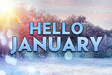 Snowy forest with bokeh lightsの写真素材