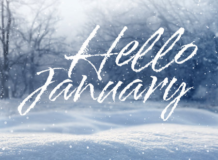 Hello winter time card with snowy forestの写真素材