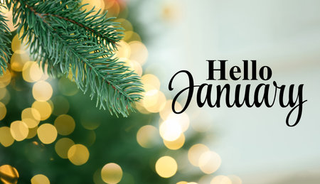 Hello January, winter time card with fir tree branches and bokeh lightsの写真素材
