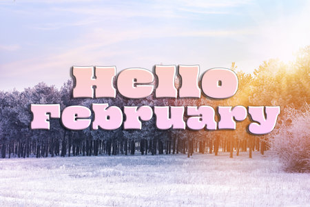 February winter time card with snowy forestの写真素材