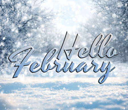 Winter time card with snowy forest and bokeh lightsの写真素材