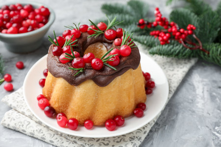 Delicious Christmas cake with chocolate glaze, cranberries and rosemary on light gray textured table, closeupの写真素材