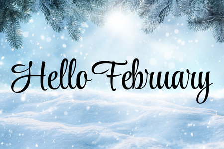 Hello February winter time card with snow and fir tree branchesの写真素材