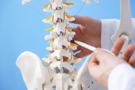 Doctor with human skeleton model on light blue background, closeup