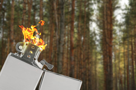 Flame in forest. Be careful with fire in natureの写真素材