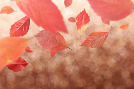 Red autumn leaves flying against blurred background with lights, bokeh effectの写真素材