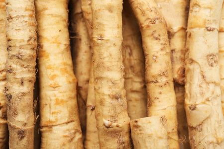 Fresh horseradish roots as background, top viewの写真素材