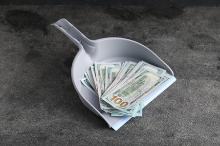 Dustpan with dollar banknotes on gray background, closeupの写真素材