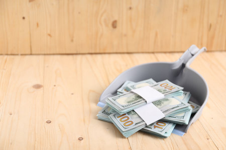 Dustpan with dollar banknotes on wooden background. Space for textの写真素材