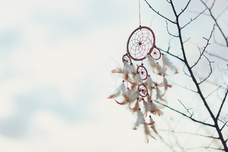 Shamanism. Beautiful dream catcher hanging outdoors, low angle view. Space for text