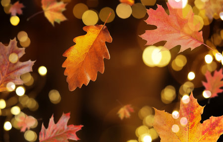 Beautiful autumn leaves falling against blurred background with lights, bokeh effect. Banner design
