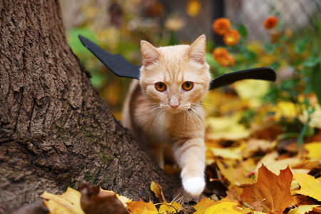 Halloween celebration. Cute cat with bat wings near tree in autumn parkの写真素材