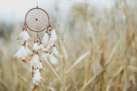 Shamanism. Beautiful dream catcher hanging outdoors. Space for text