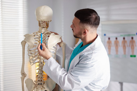 Doctor showing human skeleton model in hospitalの写真素材