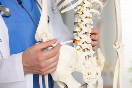 Doctor with human skeleton model in hospital, closeupの写真素材