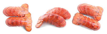 Set of lobster tails isolated on white, top viewの写真素材