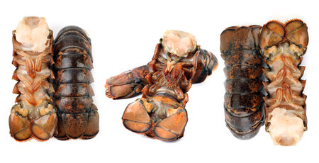 Set of lobster tails isolated on white, top viewの写真素材