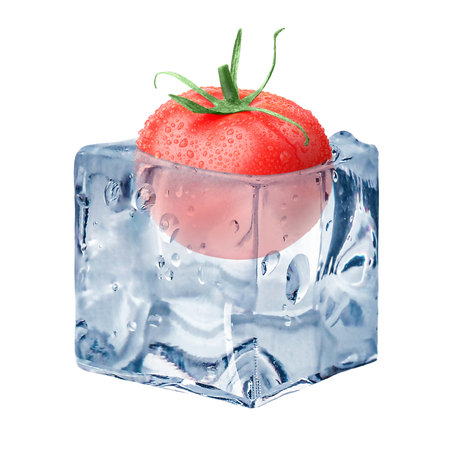 Whole red tomato in ice cube inside isolated on whiteの写真素材