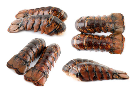 Set of lobster tails isolated on white, top viewの写真素材