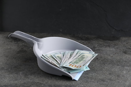 Dustpan with dollar banknotes on gray background, closeup. Space for textの写真素材