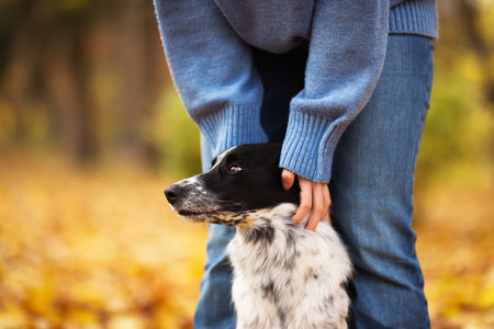 Woman walking her dog in autumn park, closeup.の写真素材