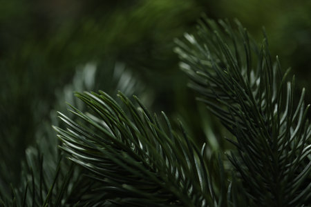 Branches of artificial Christmas tree as background, macro viewの写真素材