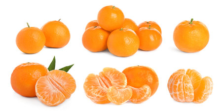 Set of tangerines isolated on white. Citrus fruitの写真素材