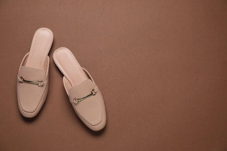 Pair of stylish mule shoes on brown background, top view. Space for textの写真素材