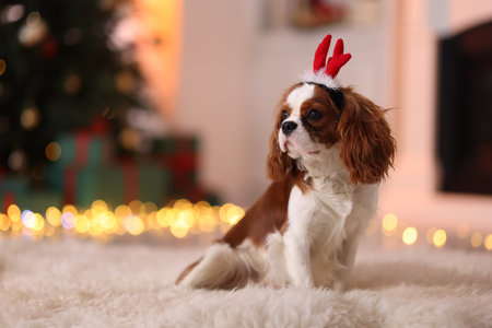 Cute dog in funny headband on floor at home, space for text. Christmas atmosphereの写真素材