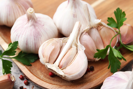 Garlic, peppercorns and parsley on light table, closeupの写真素材