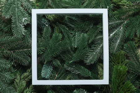 Frame on artificial fir tree branches, top view with space for text. Christmas decorの写真素材