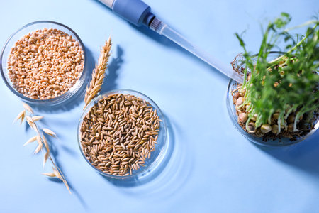 Petri dishes with samples of products and micropipette on light blue background, flat layの写真素材