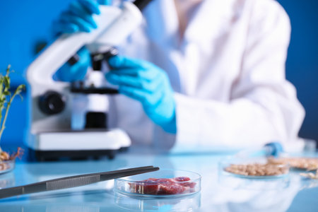 GMO concept. Scientist working with samples of products at table, selective focus