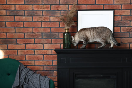 Cute cat on fireplace near brick wall at home, space for textの写真素材
