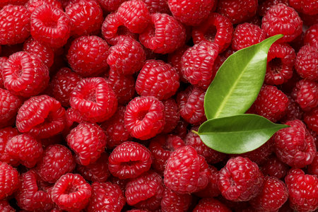 Fresh ripe raspberries and leaves as background, top view