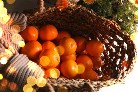 Fresh tangerines in wicker bag and fir tree branches, bokeh lightsの写真素材