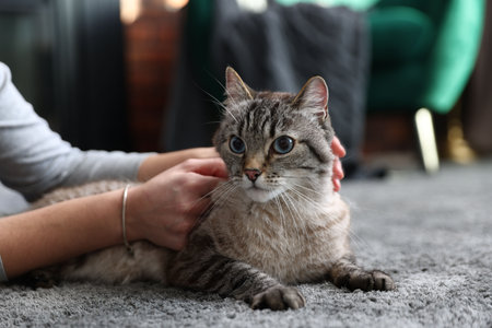 Woman with her cat on floor at home, closeup