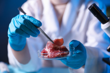 GMO concept. Scientist working with sample of meat at table, closeupの写真素材