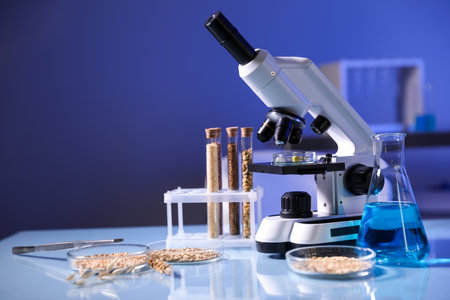 Microscope, grains in Petri dishes and liquid on table at laboratory, space for textの写真素材