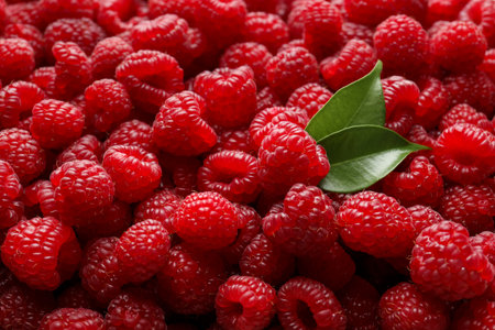 Fresh ripe raspberries and leaves as background, closeup