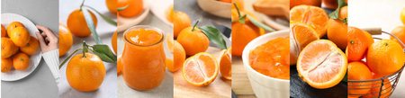 Collage with fresh tangerines, banner design. Citrus fruitの写真素材