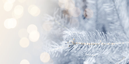 Christmas greeting card with fir tree branches and bokeh lights. Banner designの写真素材